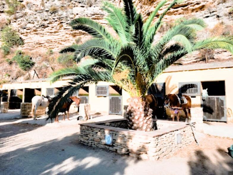 Hacienda Puerto De Las Muelas Ronda Luaran gambar